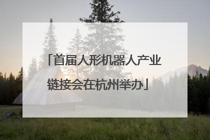首届人形机器人产业链接会在杭州举办